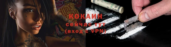 тгк Абинск