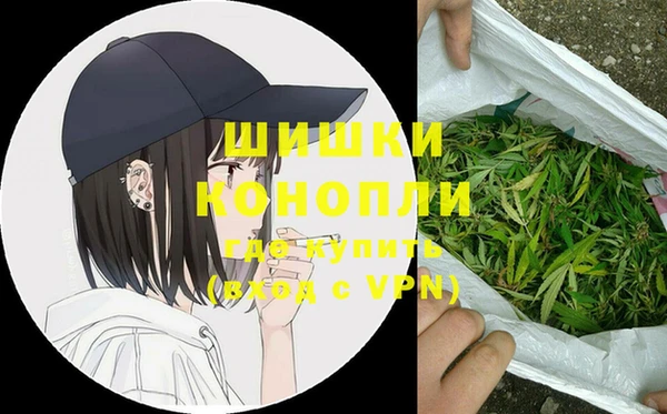 прущие грибы Пестово