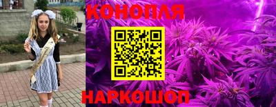 тгк Камышлов