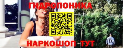 тгк Камышлов