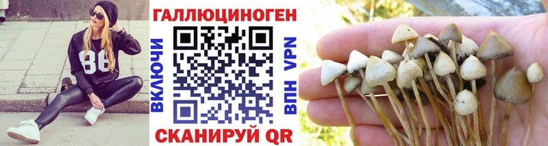 Псилоцибиновые грибы Cubensis  Рассказово 