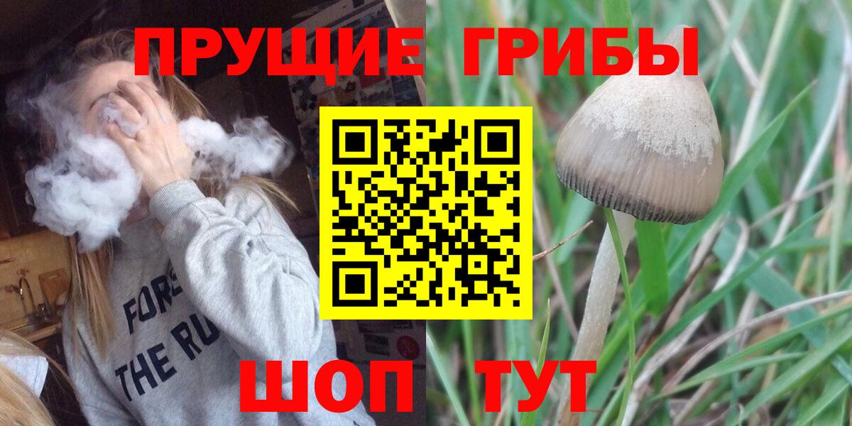 Галлюциногенные грибы прущие грибы Рассказово